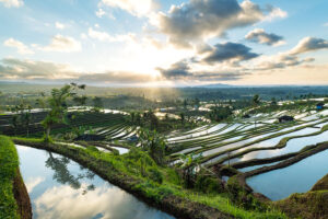 Magnifique lever de soleil sur les rizières en terrasse de Jatiluwih, à Bali en Indonésie