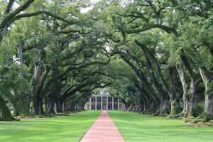 Oak Alley, Plantation, Louisiane