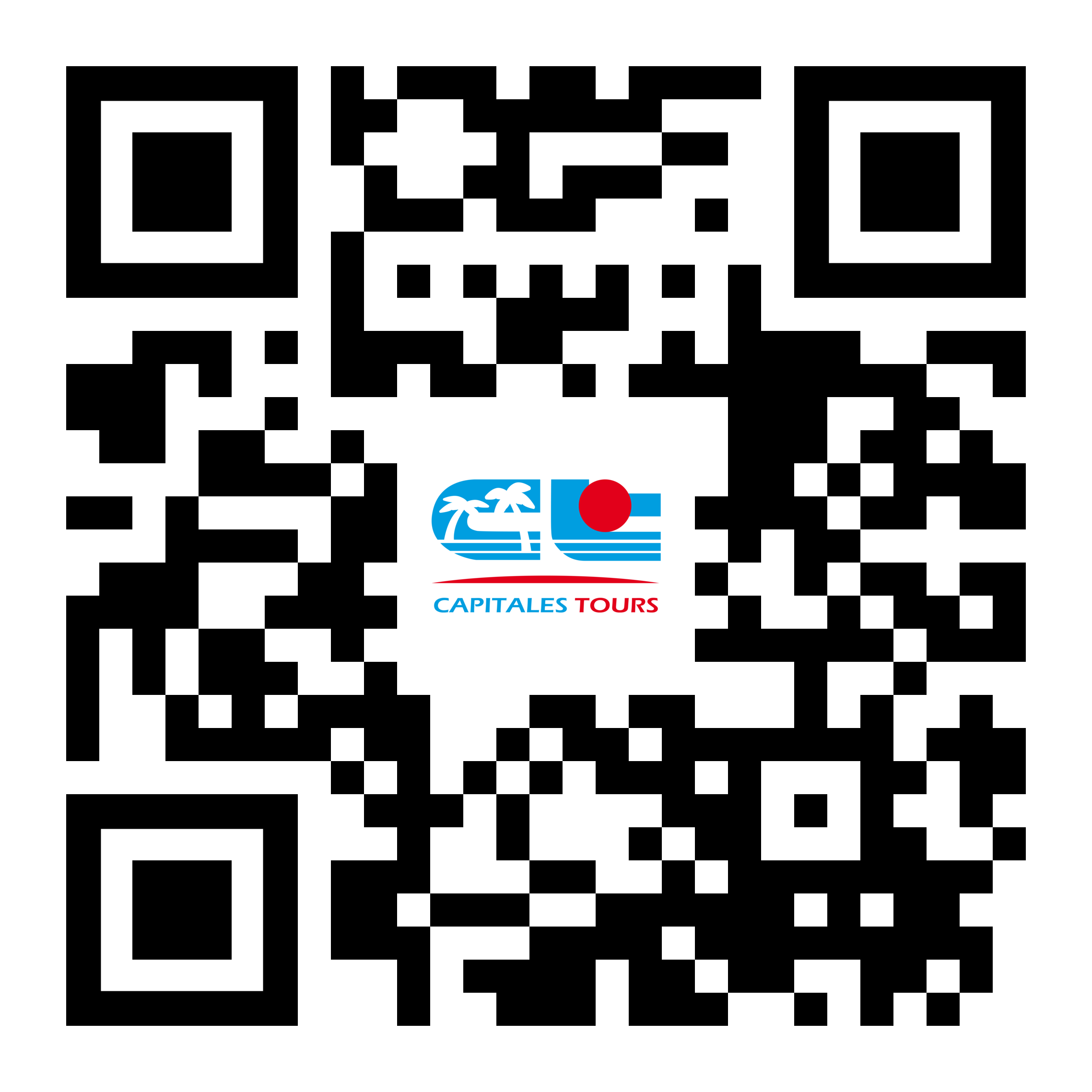 QR Code brochure GIR Capitales Tours : ct.s.gy/brochure